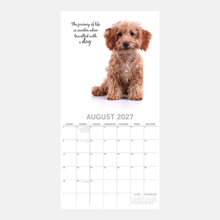 The Gifted Stationery Company 2027 Square Wall Calendar - Adorable Dogs