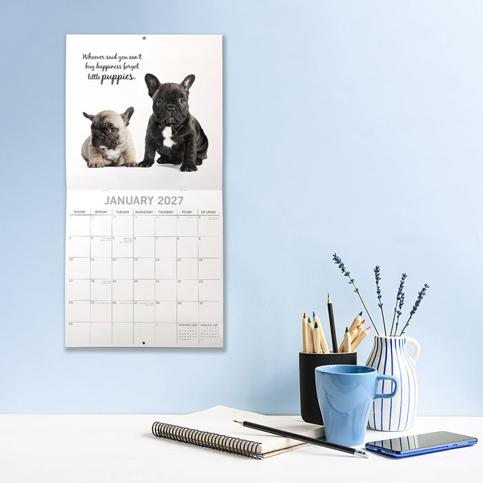 The Gifted Stationery Company 2027 Square Wall Calendar - Adorable Dogs
