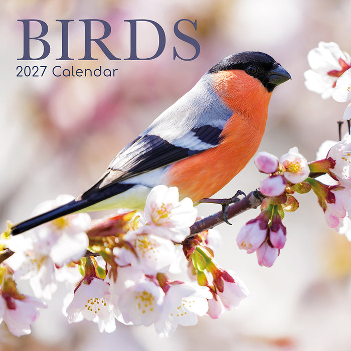 The Gifted Stationery Company 2027 Square Wall Calendar - Birds