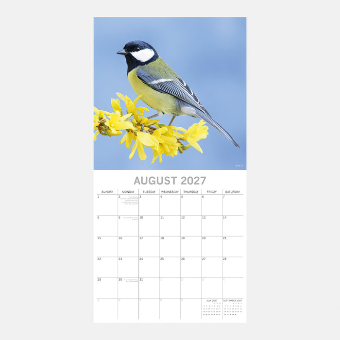 The Gifted Stationery Company 2027 Square Wall Calendar - Birds