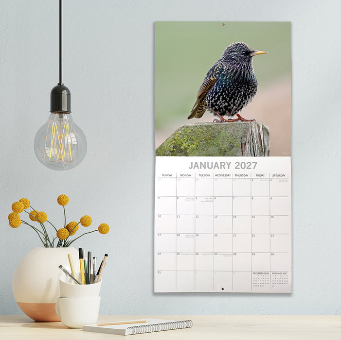 The Gifted Stationery Company 2027 Square Wall Calendar - Birds