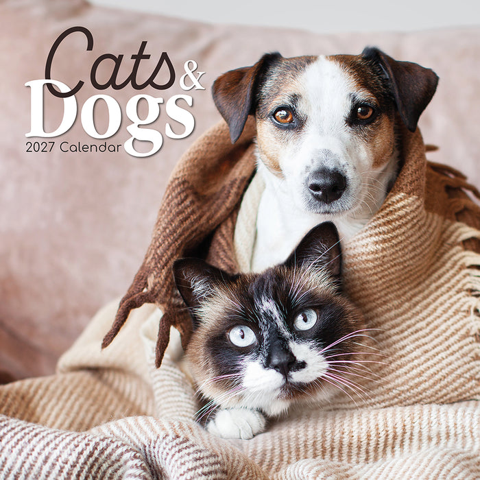 The Gifted Stationery Company 2027 Square Wall Calendar - Cats & Dogs