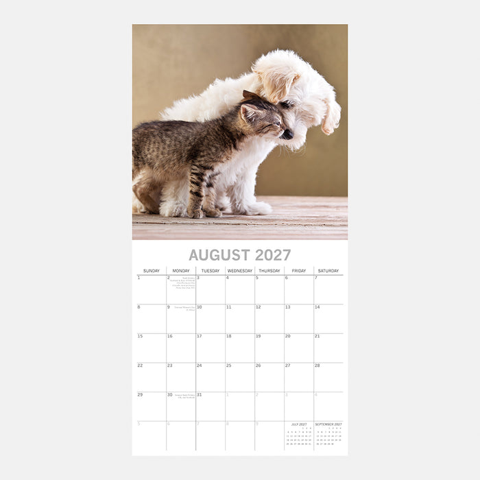 The Gifted Stationery Company 2027 Square Wall Calendar - Cats & Dogs