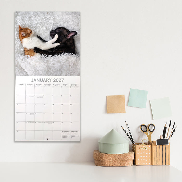 The Gifted Stationery Company 2027 Square Wall Calendar - Cats & Dogs