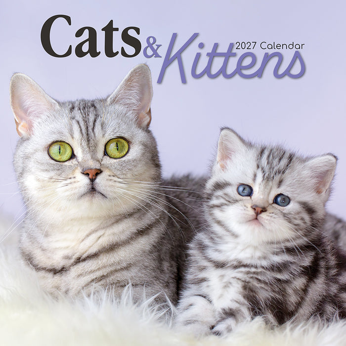 The Gifted Stationery Company 2027 Square Wall Calendar - Cats & Kittens