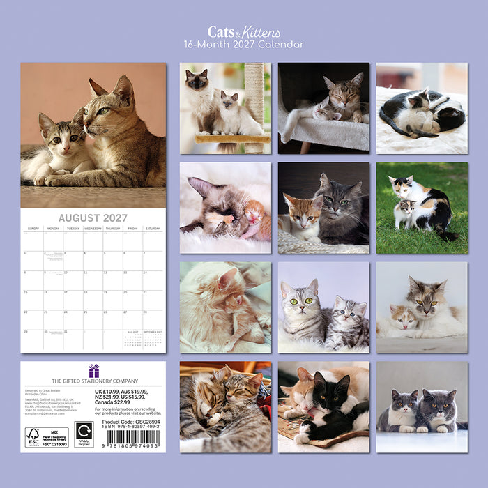 The Gifted Stationery Company 2027 Square Wall Calendar - Cats & Kittens