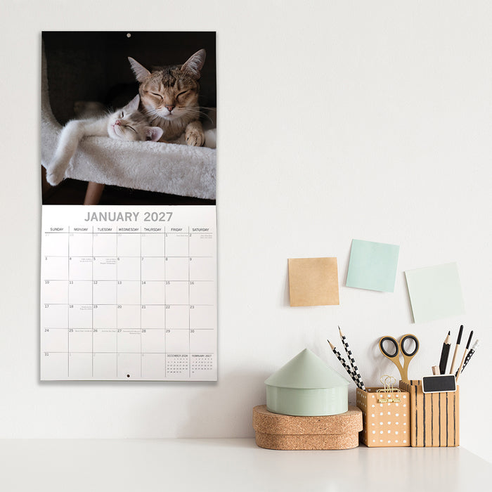 The Gifted Stationery Company 2027 Square Wall Calendar - Cats & Kittens