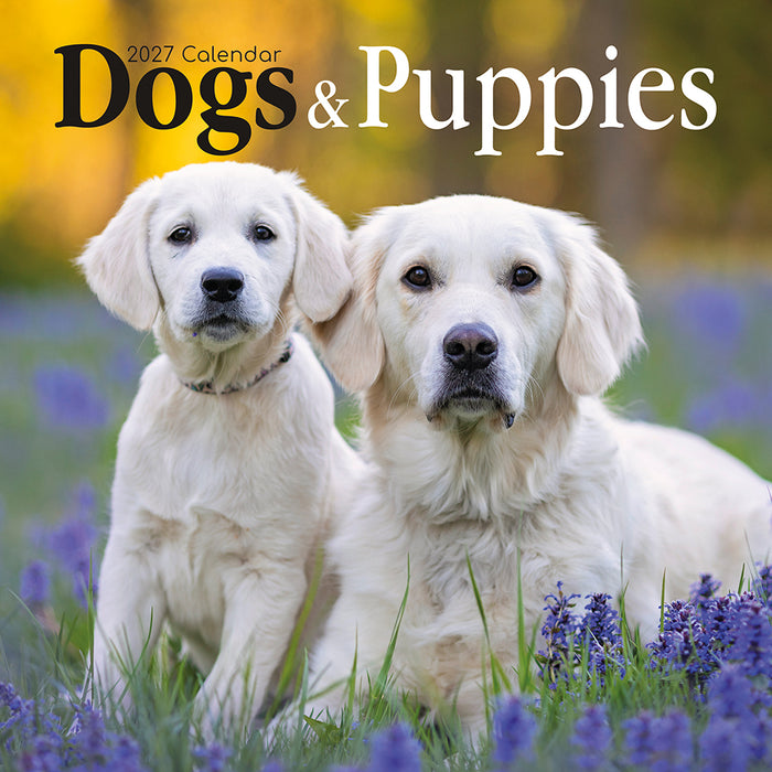 The Gifted Stationery Company 2027 Square Wall Calendar - Dogs & Puppies