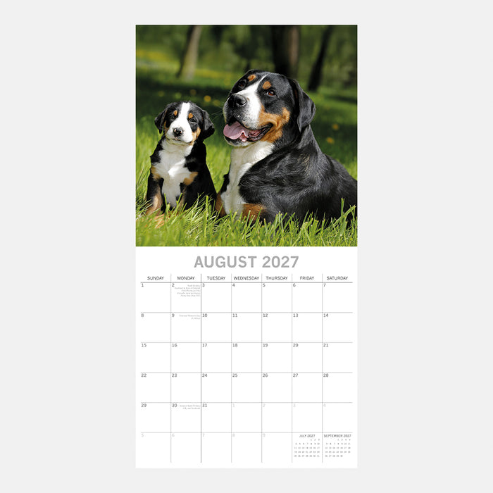 The Gifted Stationery Company 2027 Square Wall Calendar - Dogs & Puppies