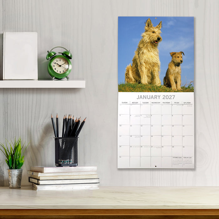 The Gifted Stationery Company 2027 Square Wall Calendar - Dogs & Puppies