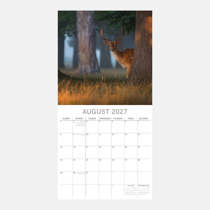 The Gifted Stationery Company 2027 Square Wall Calendar – Woodland Scenes