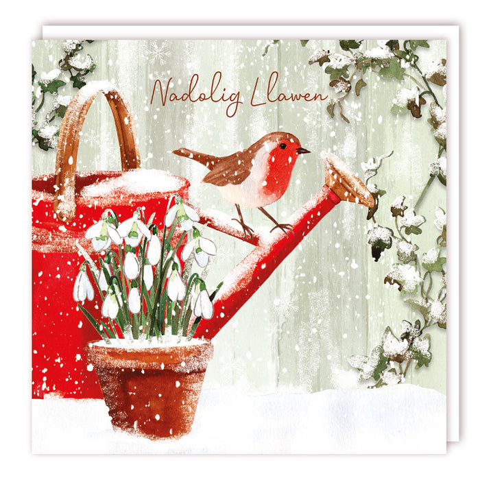 Tracks Publishing Robin On Watering Can Welsh 5 Pack Of Christmas Cards