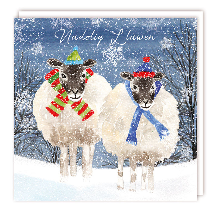 Tracks Publishing Sheep In Hats Welsh 5 Pack Of Christmas Cards