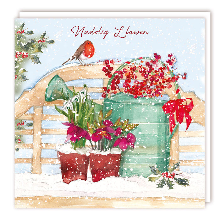 Tracks Publishing Robins Garden Xmas Welsh 5 Pack Of Christmas Cards