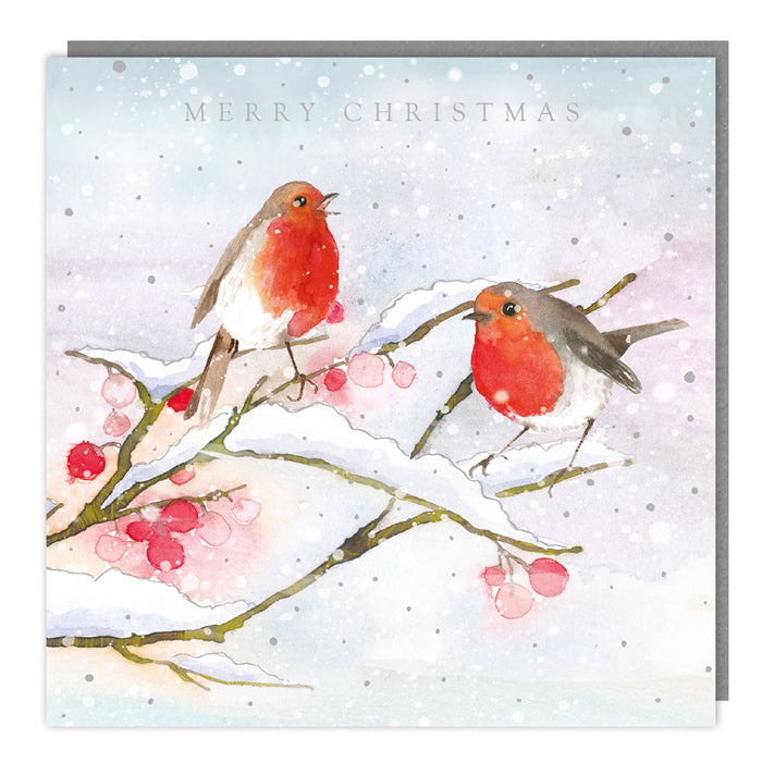 Tracks Publishing Robins In Tree Branches 5 Pack Of Christmas Cards