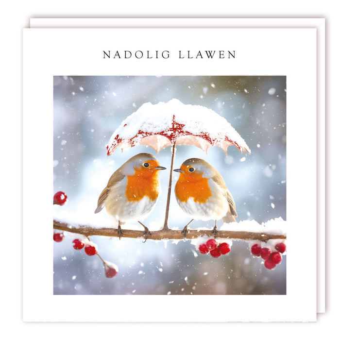 Tracks Publishing Two Robins 5 Pack Of Welsh Christmas Cards