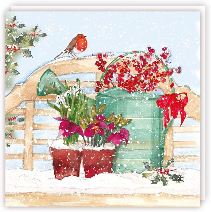 Tracks 'Mixed Christmas Robins Garden Design' Christmas Card Pack of 5