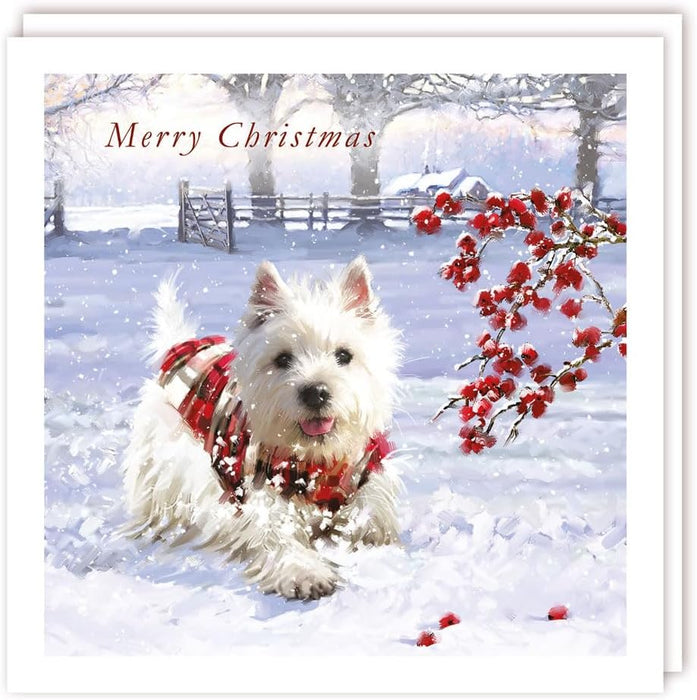 Tracks 'Mixed Christmas Westie Design' Christmas Card Pack of 5