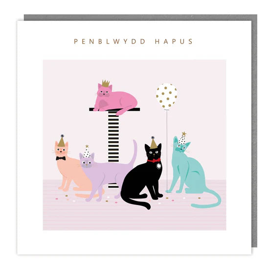 Tracks Publishing Welsh Penblwydd Hapus (Happy Birthday) Card