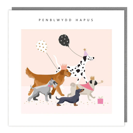 Tracks Publishing Welsh Penblwydd Hapus (Happy Birthday) Card