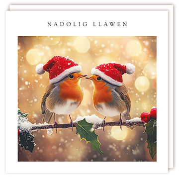 Tracks 'Welsh Robins In Hats Design' Christmas Card