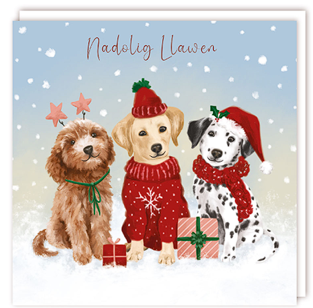 Tracks 'Welsh 3 Dressed Hounds Design' Christmas Card Pack of 5