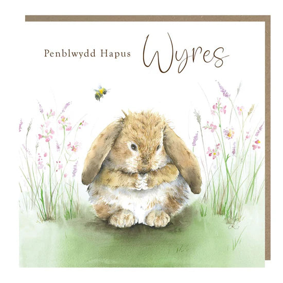 Tracks Publishing Welsh Penblwydd Hapus Wyres (Happy Birthday Granddaughter) Card