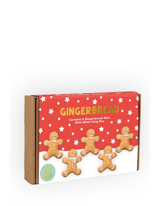 The Treat Kitchen DIY Letterbox Gingerbread Kit