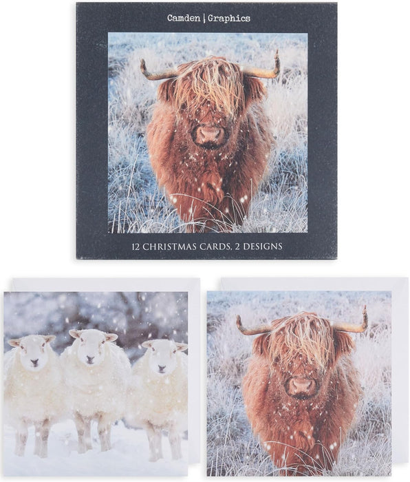 UKG 'Open Cards' Christmas Card Boxed Pack Of 12