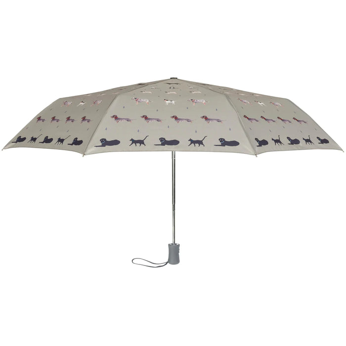 Sophie Allport Umbrella - Raining Cats and Dogs