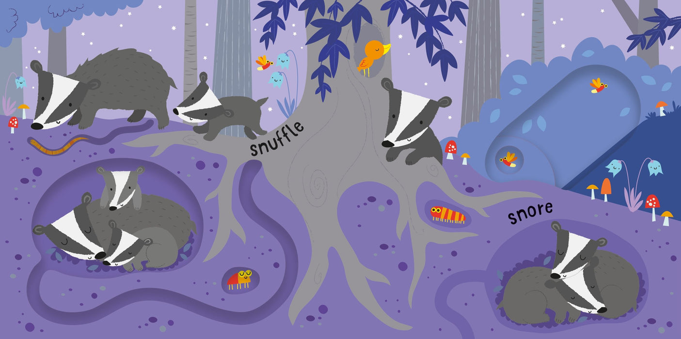 Usborne  Slide And See Night Time Book