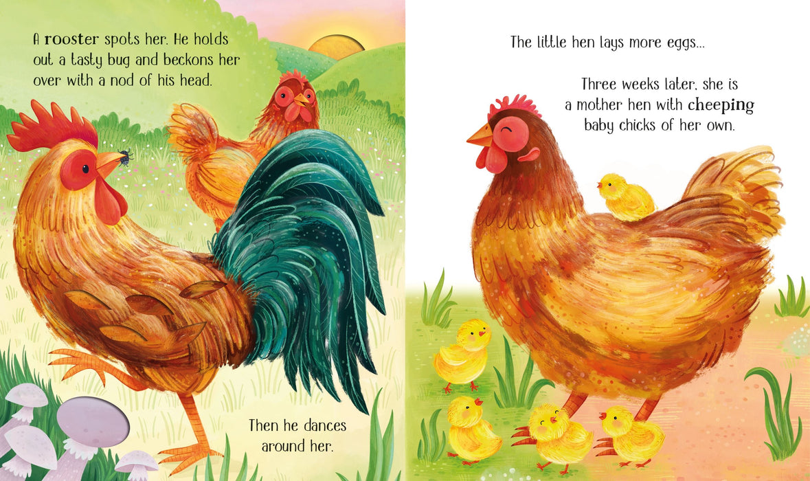 Usborne One Little Chick