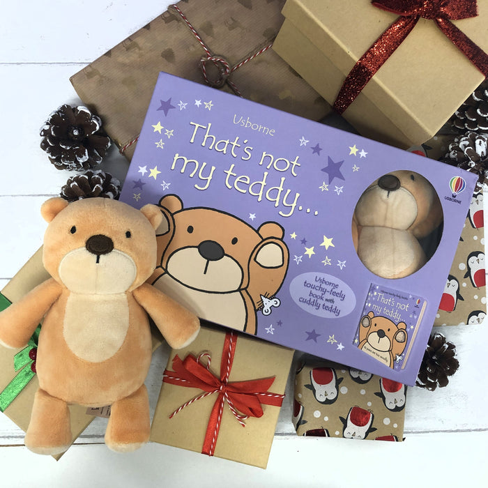 Usborne That's Not My... Teddy Book And Toy