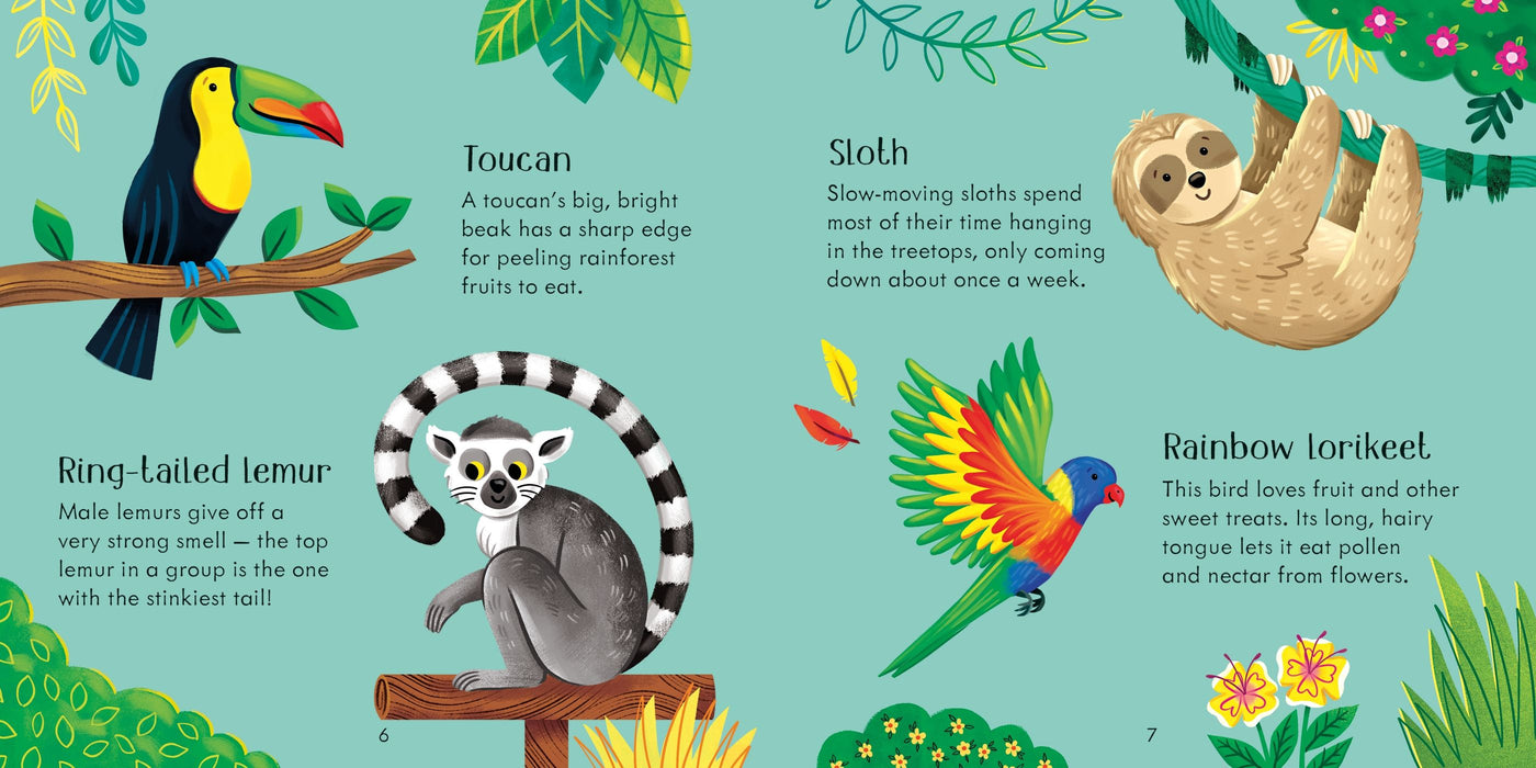 Usborne Zoo Matching Games And Book