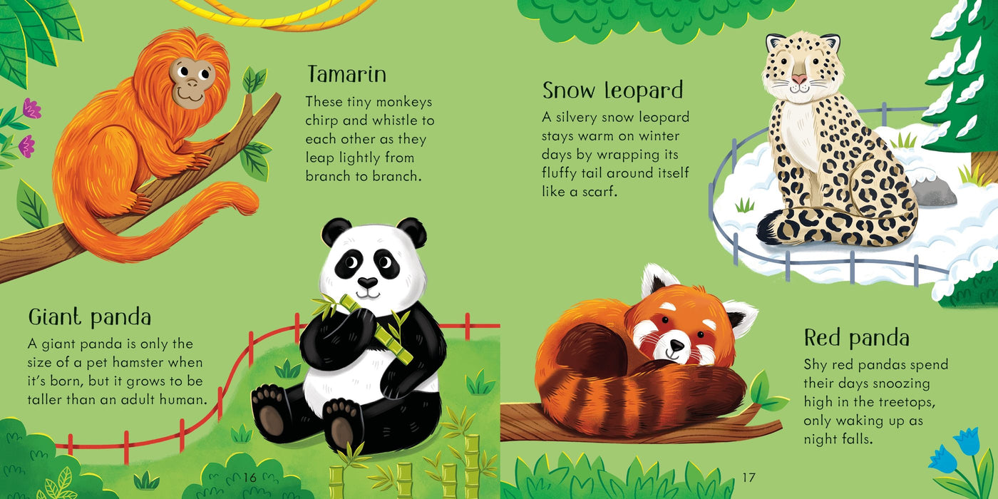 Usborne Zoo Matching Games And Book