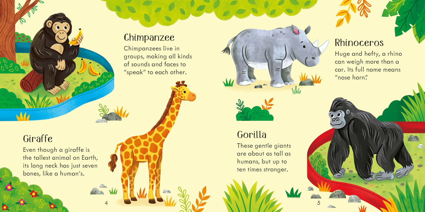 Usborne Zoo Matching Games And Book