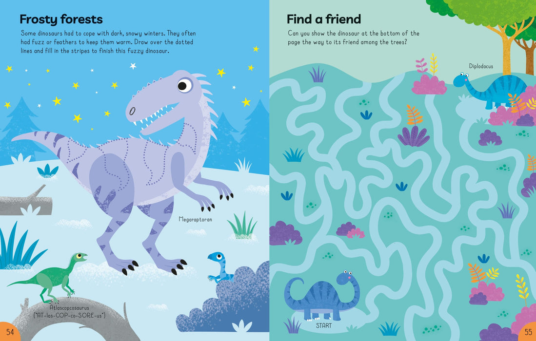 Usborne Big Activity Book Dinosaurs