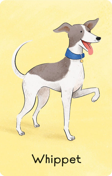 Usborne Dog Snap