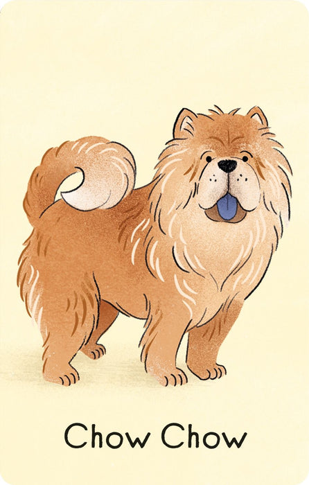 Usborne Dog Snap