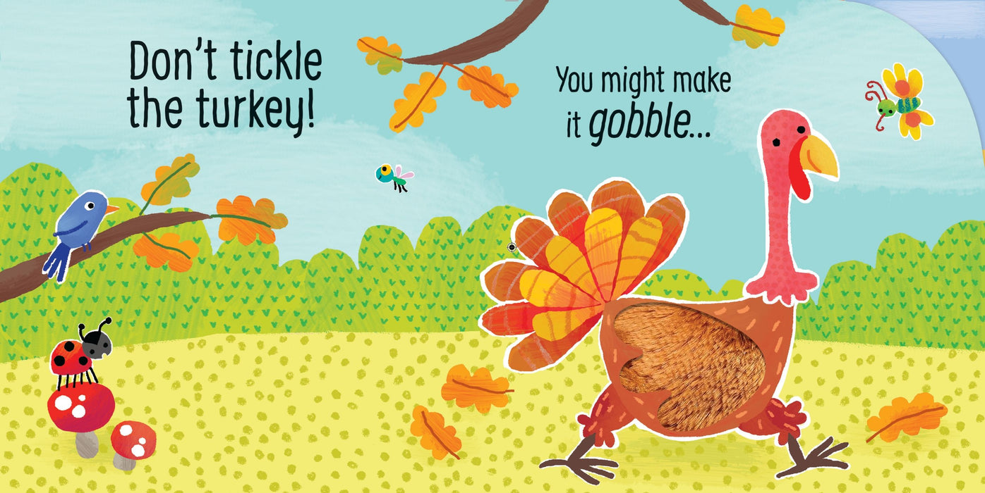 Usborne Don't Tickle The Turkey!