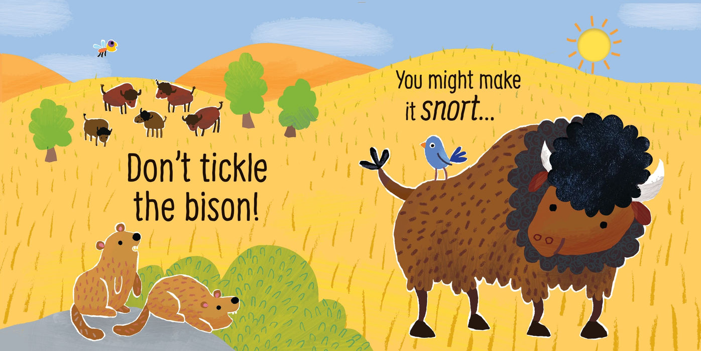 Usborne Don't Tickle The Turkey!