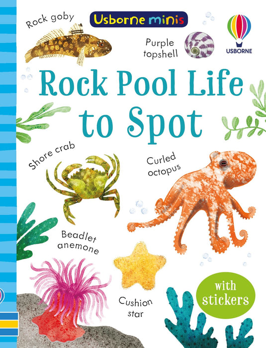 Usborne Minis Rock Pool To Spot Book