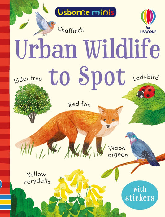 Usborne Minis Urban Wildlife To Spot Book