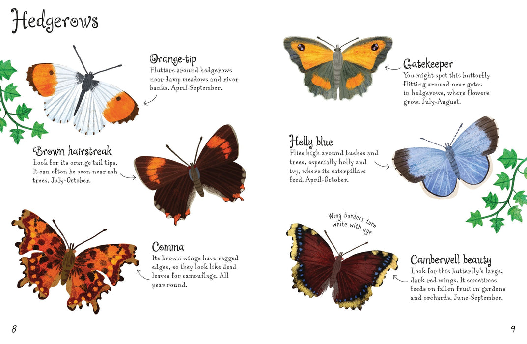 Usborne Minis Butterflies To Spot Book