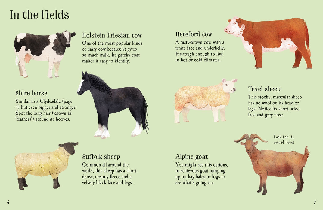 Usborne Minis Farm Animals To Spot Book