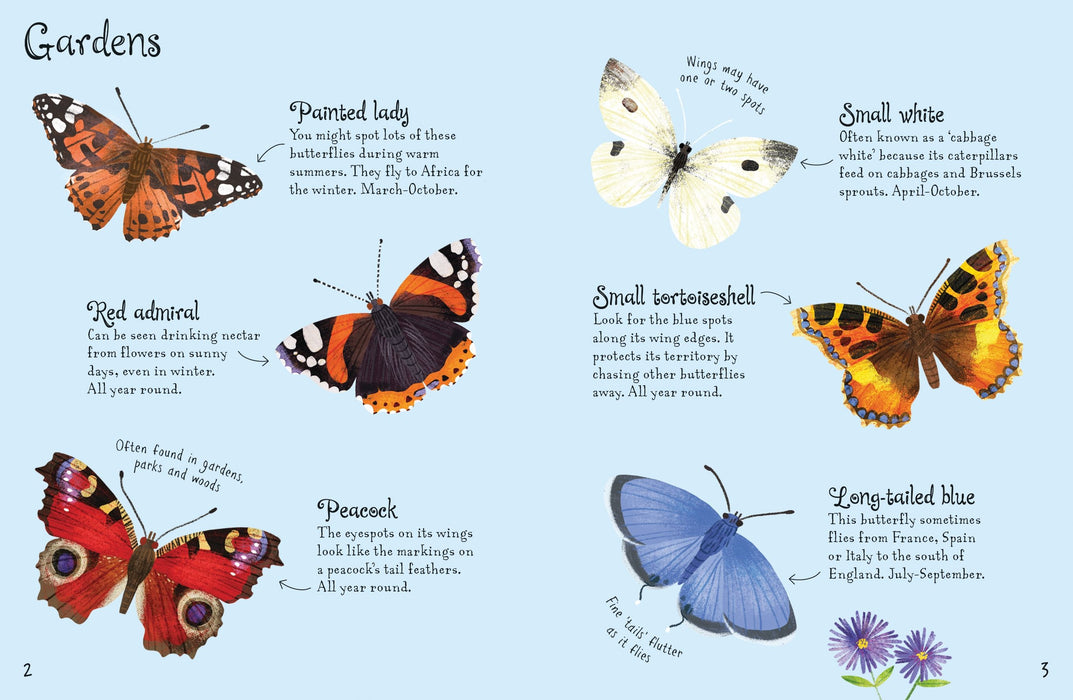 Usborne Minis Butterflies To Spot Book