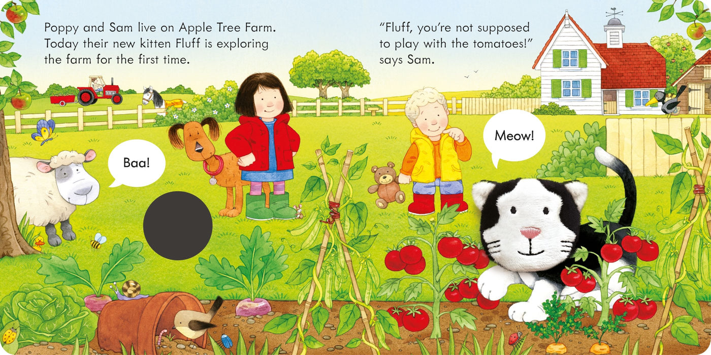 Usborne Poppy And Sam And The Kitten