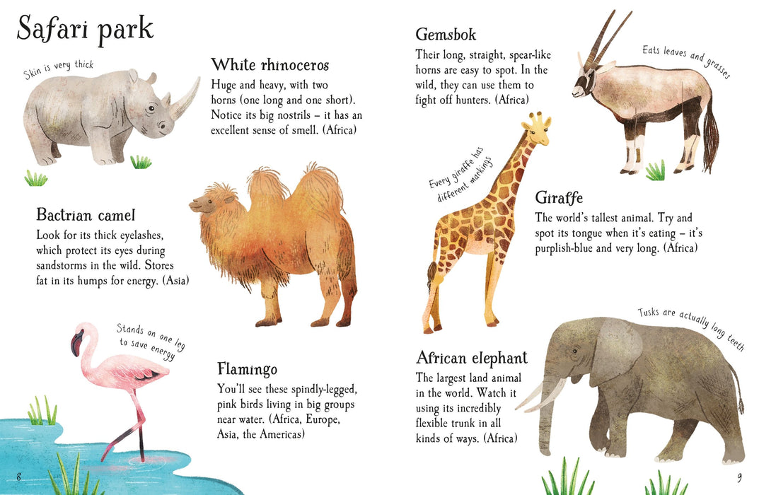 Usborne Minis Zoo Animals To Spot Book