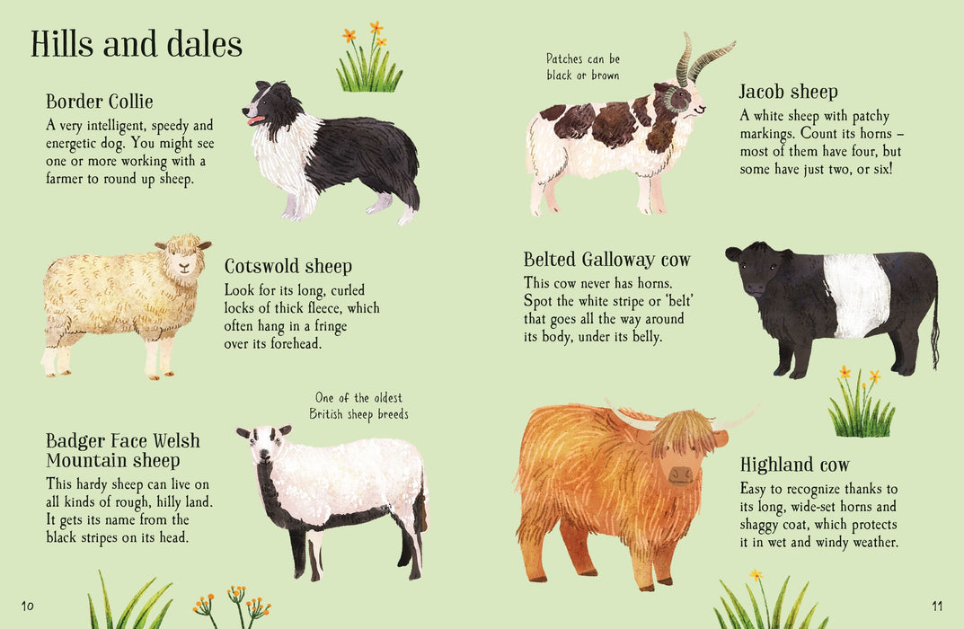 Usborne Minis Farm Animals To Spot Book