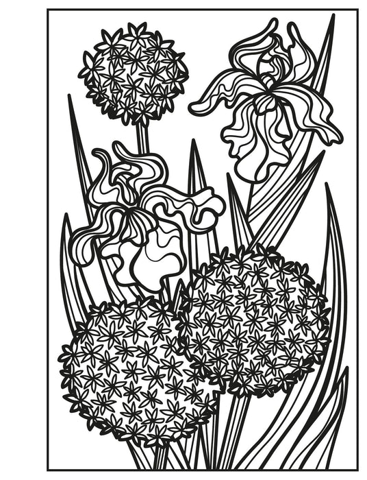 Usborne Flowers Magic Painting Book